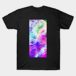 GF288 Art and Abstract T-Shirt